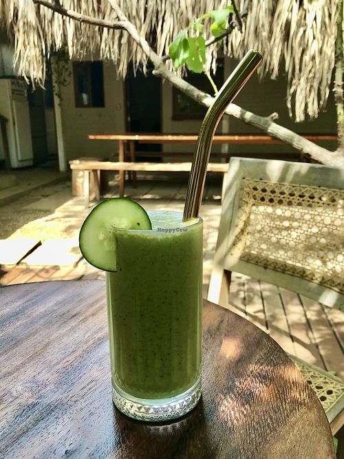 green smoothie in back garden   at Ding Repair Cafe in San Juan Del Sur