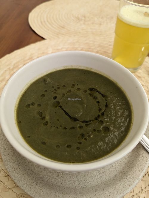 Spinach Soup at Bio.Tequim Vegetariano Restaurante in Tavira