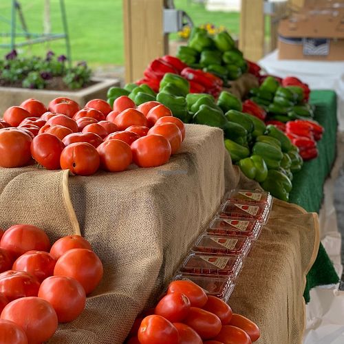  at Alstede Farms in Chester