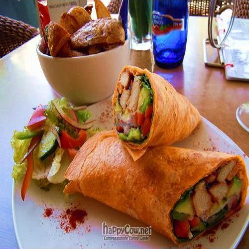 Los Angeles wrap at Elemi Cafe Bar Bistro Vegetariano in Estepona