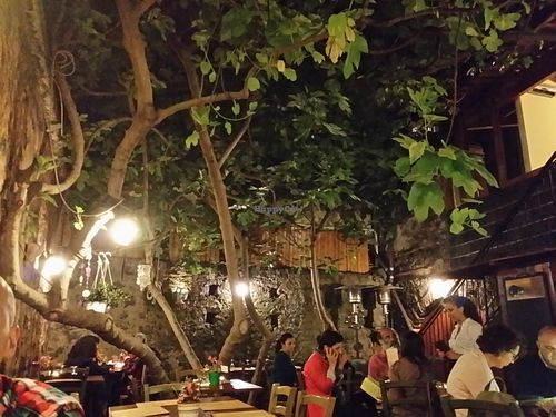 The beautiful patio in the back.  at Haiku in Catania