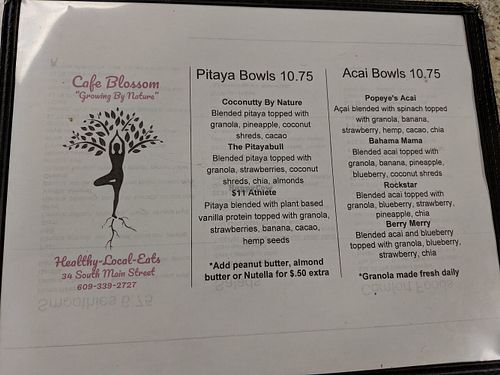 Menu at Cafe Blossom in Barnegat