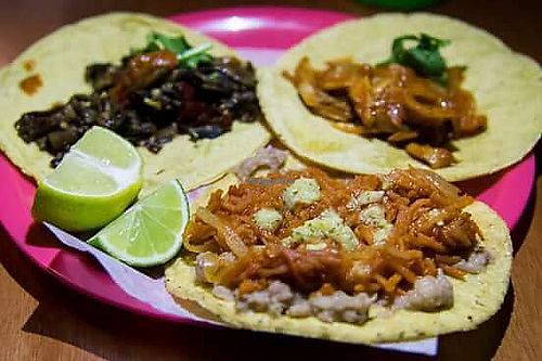 tacos! at Ta'consciente in Playa Del Carmen