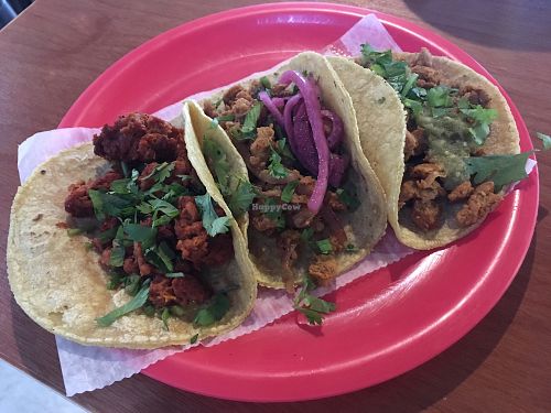 Chicharron (el primero a la izquierda) era el mejor! at Ta'consciente in Playa Del Carmen