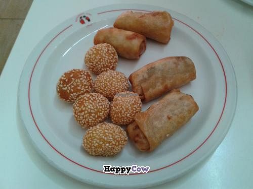 Spring rolls and dumplings with sesame at Loving Hut in Malaga