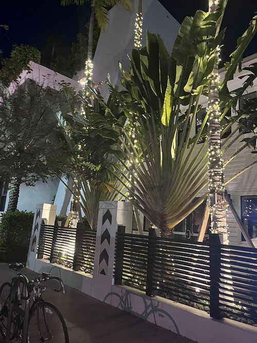 Outdoor patio area of Planta   at PLANTA in Miami Beach