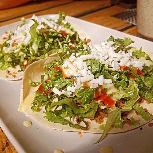 #Veganuary at Beach Dog Cafe in Nosara