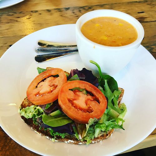 Typeset sandwich and vegan tortilla soup  at Free Press Coffee House in Springfield