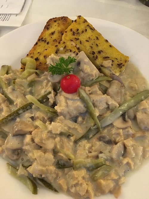 Vegan Beef Stroganoff with polenta at Veganeria in Budapest