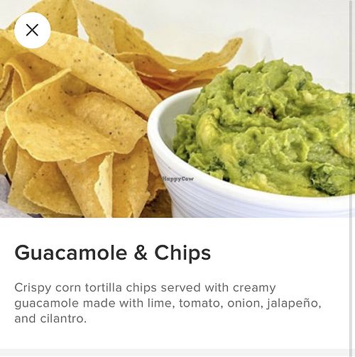   at IAH - H Burger - TC in Houston