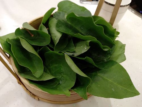 Greens for vegan hotpot at Wutai Yun Vegan & Organic Restaurant, grown on their own organic farm. at Wutai Yun in Beijing