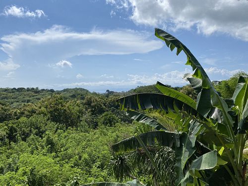   at Vegan Soul Kitchen in Penida Island