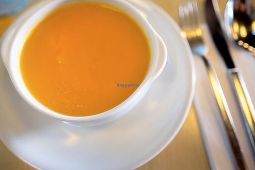 Starter at Bon Lloc in Mallorca