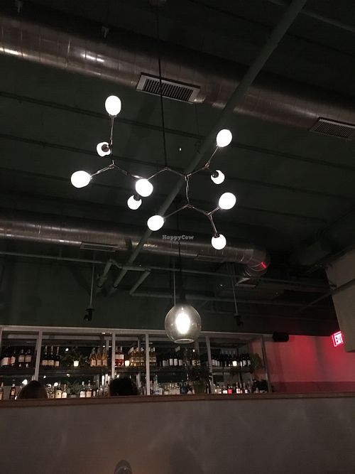 Lovely lights at Fancy Radish in Washington