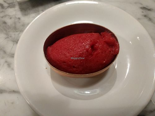 Cranberry Sorbet at Fancy Radish in Washington
