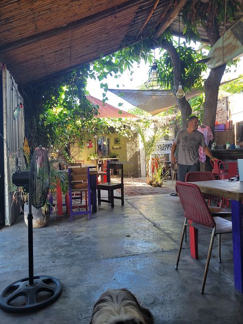 Inside at Mi Vegano Favorito in San Jose Del Cabo