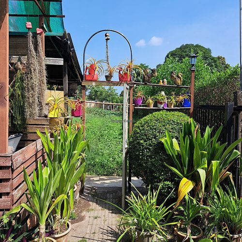  at BP Dragonfly Garden (农田素食小馆) in Penang