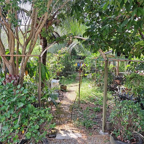  at BP Dragonfly Garden (农田素食小馆) in Penang