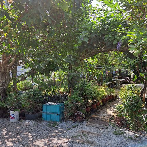  at BP Dragonfly Garden (农田素食小馆) in Penang