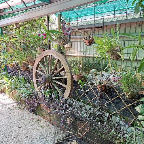  at BP Dragonfly Garden (农田素食小馆) in Penang