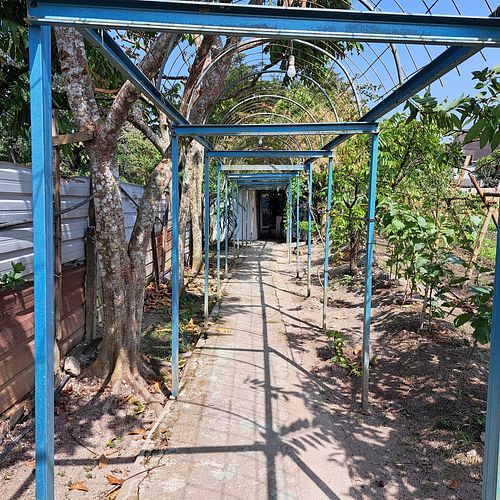  at BP Dragonfly Garden (农田素食小馆) in Penang