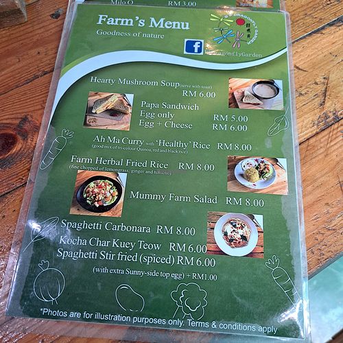  at BP Dragonfly Garden (农田素食小馆) in Penang