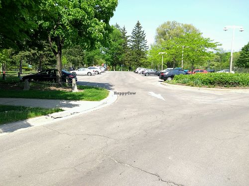 Merritt Island parking at The Vegan Hippie Chick in Welland