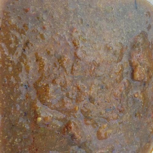 veggie chicken (stew) at Vegetarian Paradise in Decatur