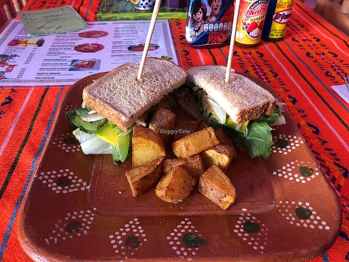 Vegan sandwich at Yutsil Cafe Boutique in Valladolid