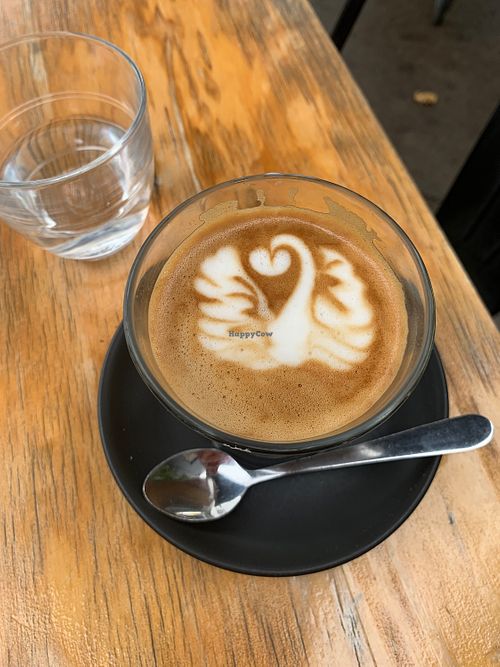 oat magic - cute latte art at Red Bean Coffee Roasters in Preston