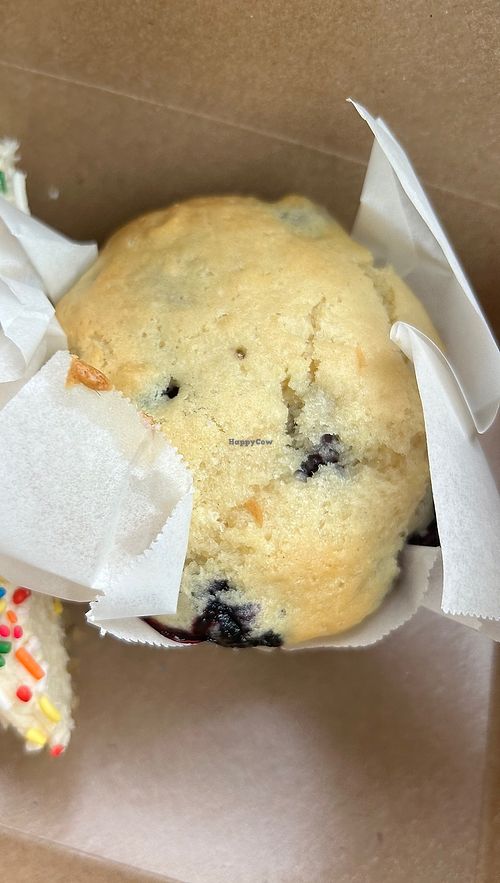   at Fermento in Long Beach