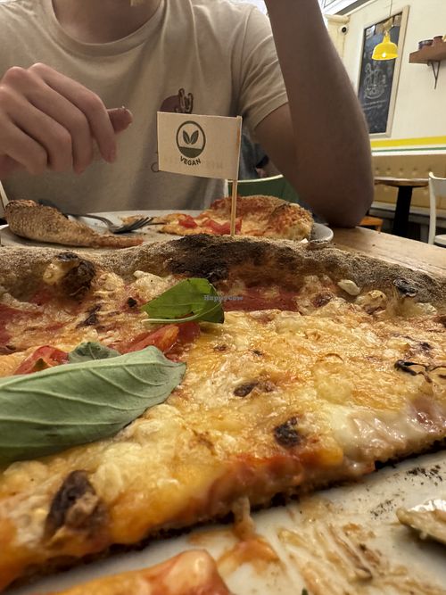 Deliciosa pizza la Regina Margherita  at Mister Pizza - Duomo in Florence