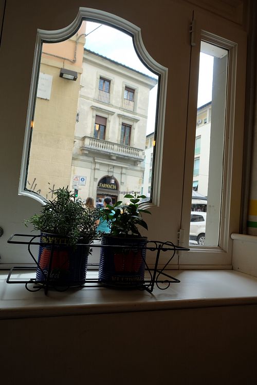 The view at Mister Pizza - Duomo in Florence