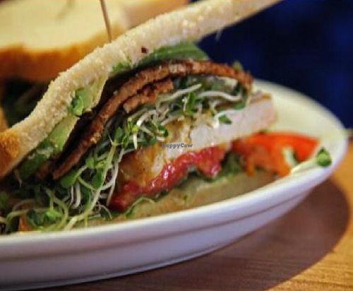 Club Sandwich photo by MR MEANER at Flore in Los Angeles