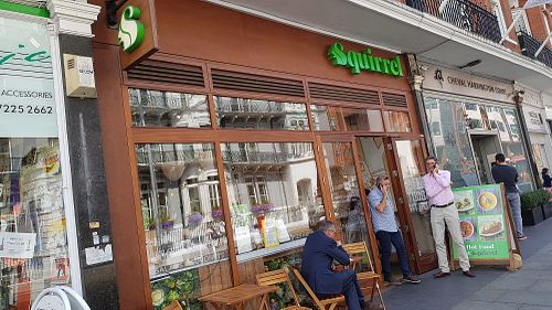 Outside at Squirrel in South West London