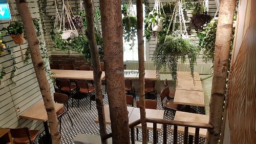 More seating at Squirrel in South West London