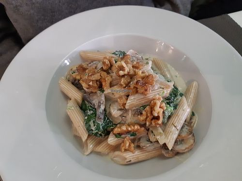 Strogonoff at Remedio Santo Campo Alegre in Porto