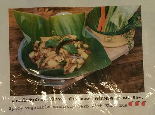 menu 4 at Massaman House in Chiang Mai