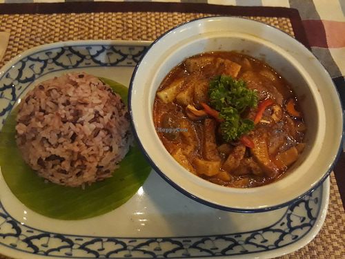 Masaman curry with brown rice at Massaman House in Chiang Mai
