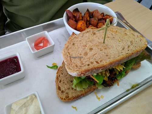 juice burger deluxe with roasted sweet potatoes at Verde Organic Cafe & Juice in Santa Fe