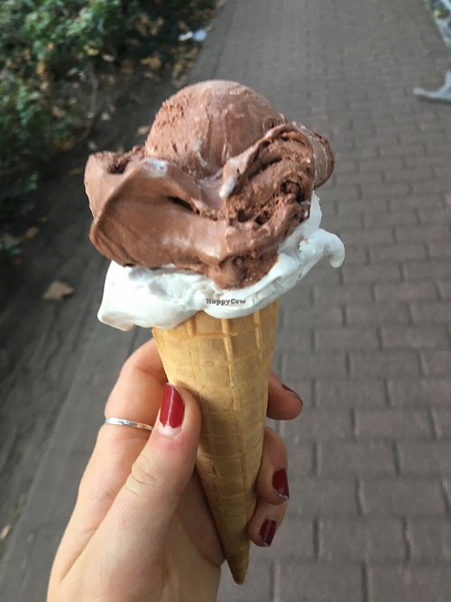 Vegan Eis at Gelateria e Panini Da Ros in Bremen