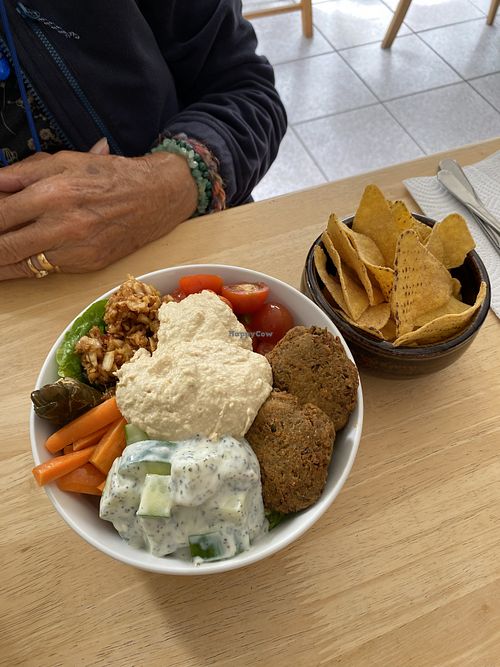 Falafel, humous salad  at Vega in Tintagel