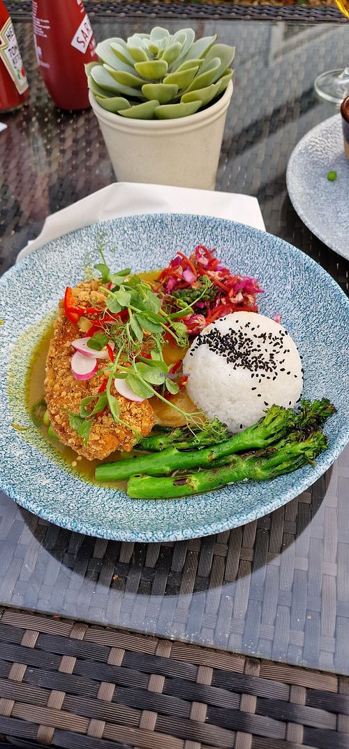 Sweet potato fritter katsu curry at The Cheshire Cat in Chester