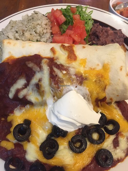 Vegetarian enchilada soooo good!!! at EvilTex in Takayama