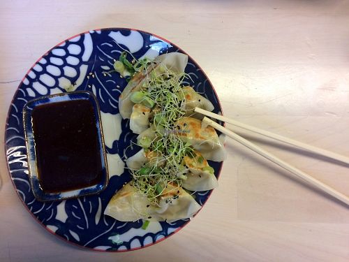 Vegetable dumplings (yasai gyoza) at East Canteen in Strasbourg