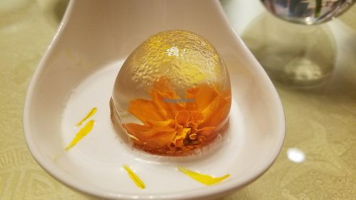 Jelly dessert at Ooak Kitchen in Culver City