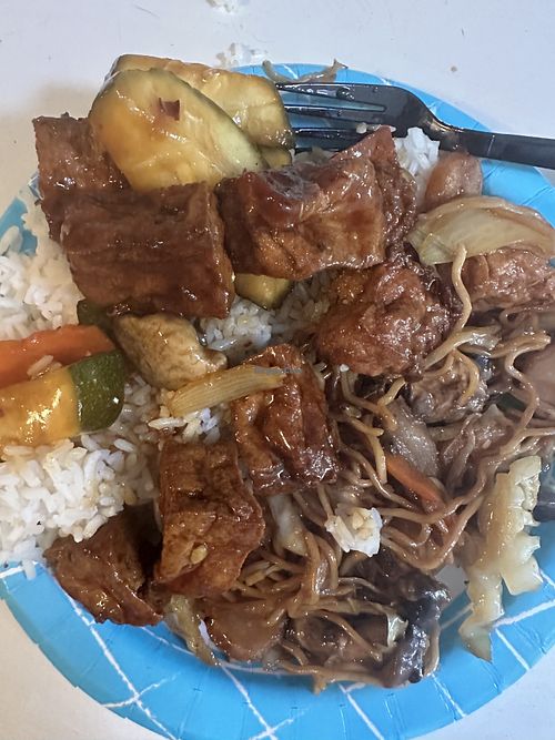 Bean curd with garlic sauce over white rice and Bean curd and mix veg vegan lo mein….. yum….  at Hong Kong in Battle Creek