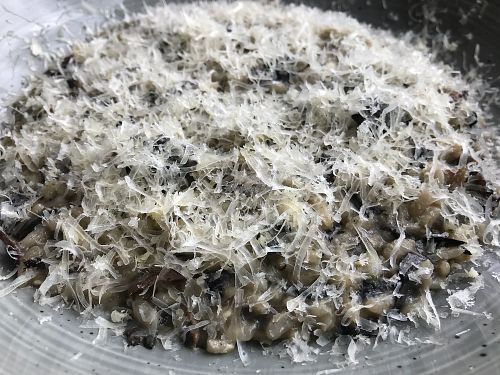 Delicious vegan wild mushroom risotto- photo does not do it justice  at Oliveira in South West London