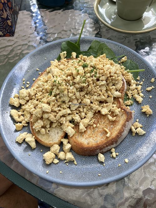 Tofu scramble on sourdough   at Watertank Cafe in Alice Springs