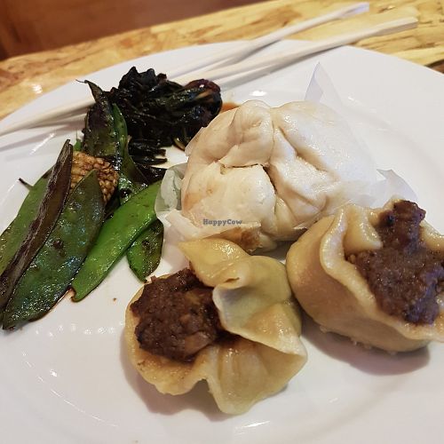 Dim Sum! at Urban Greenhouse in Panama City